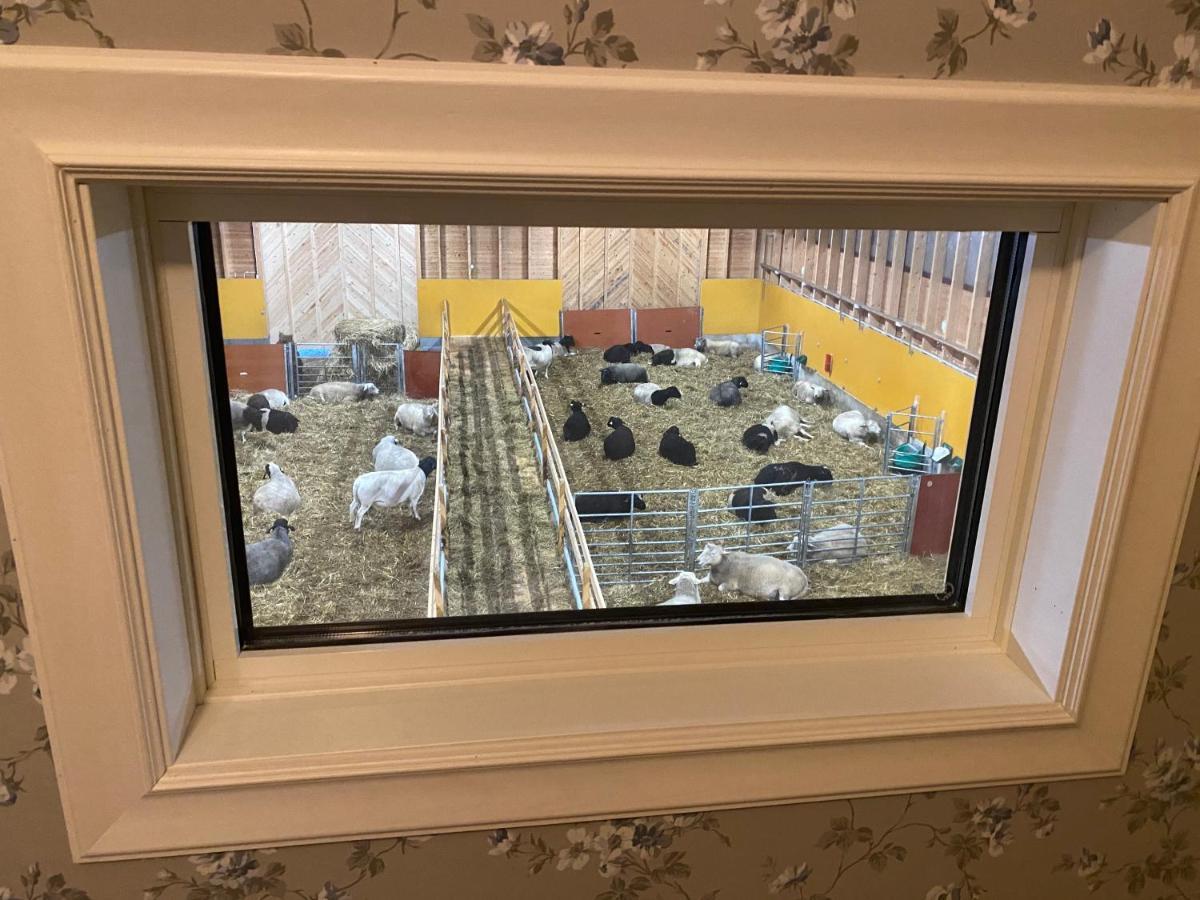 Newly Built Apartment Next Door To The Sheep Norrfjarden Exteriör bild