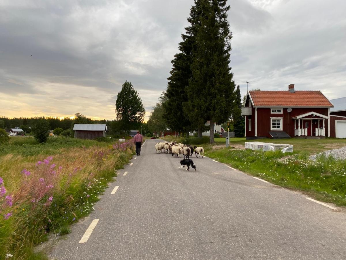 Newly Built Apartment Next Door To The Sheep Norrfjarden Exteriör bild